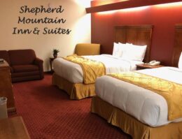 Shepherd Main Logo room